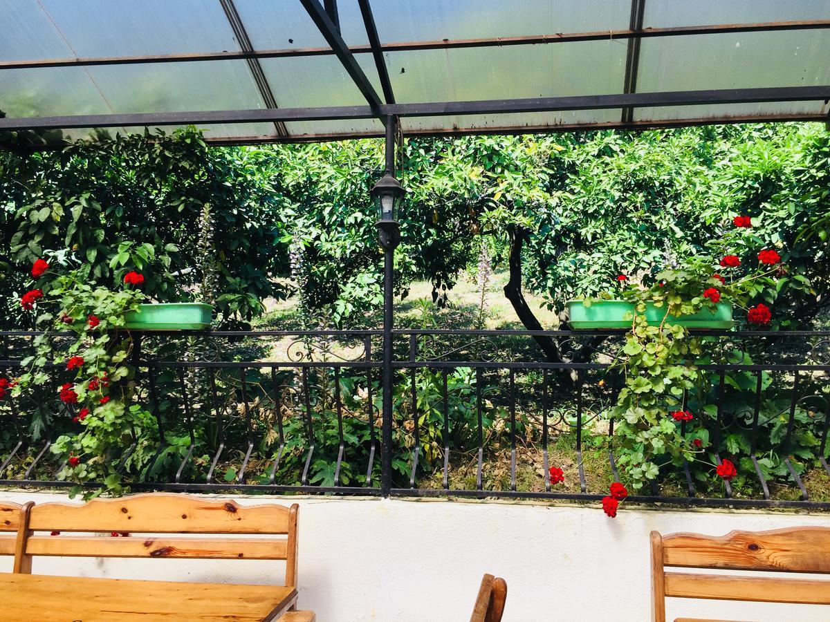 Mandarinoviy Sad Hotel Gagra Buitenkant foto